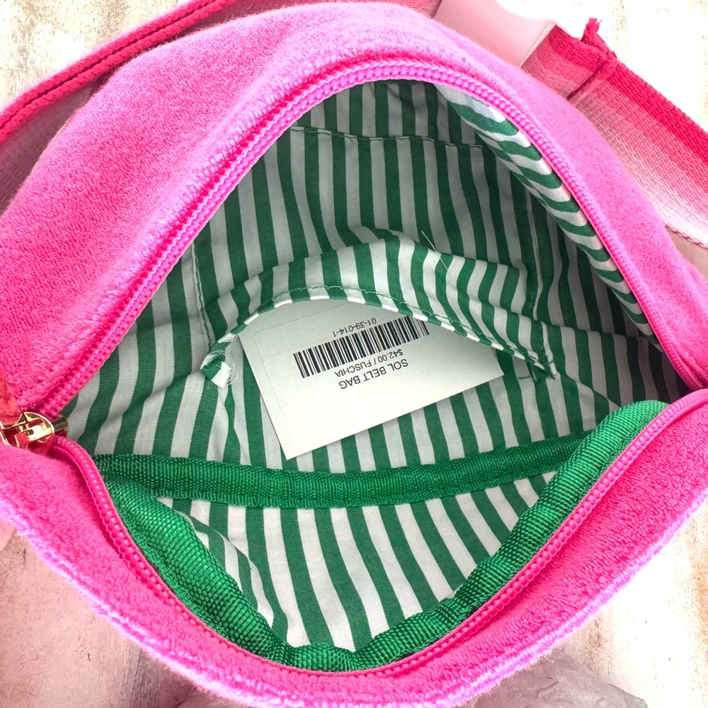 Pink and Green Stripe Shiraleah Belt Bag - Handbag Travel Bag Compact Belted Bag